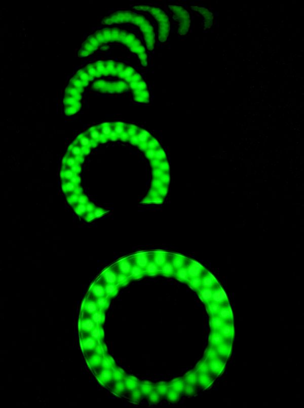 green rings